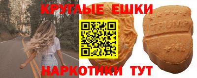 гидра Новозыбков