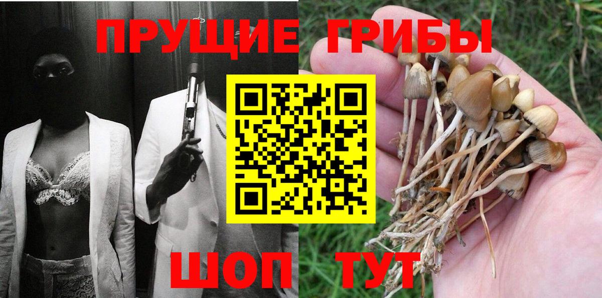 Псилоцибиновые грибы мицелий Топки