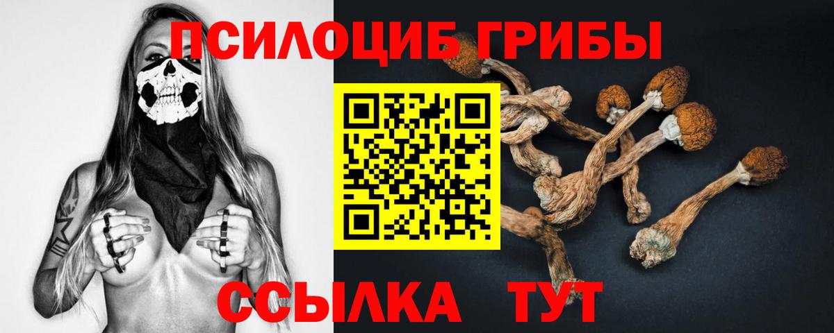 купить наркотик  Вход с VPN  Топки  Галлюциногенные грибы Psilocybe 
